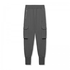 Asrv 0654. Tech-Terry™ Cargo High Rib Men's Jogger Grey | 74513LRKB