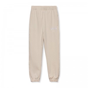 Asrv 0655. Tech-Terry™ Oversized Men's Sweatpants Brown | 92538UFYS