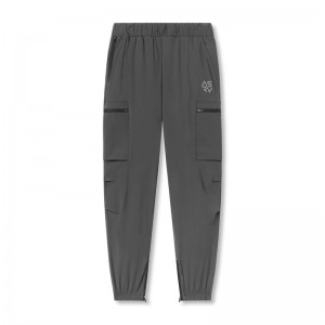 Asrv 0656. Tetra-Lite™ Standard Zip Men's Jogger Grey | 41738SQJP