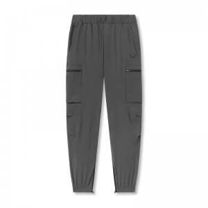 Asrv 0656. Tetra-Lite™ Standard Zip Men's Jogger Grey | 59314JCKH