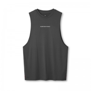 Asrv 0837. 3D-Lite® 2.0 Muscle Men's Tanks Grey | 03645FDPR