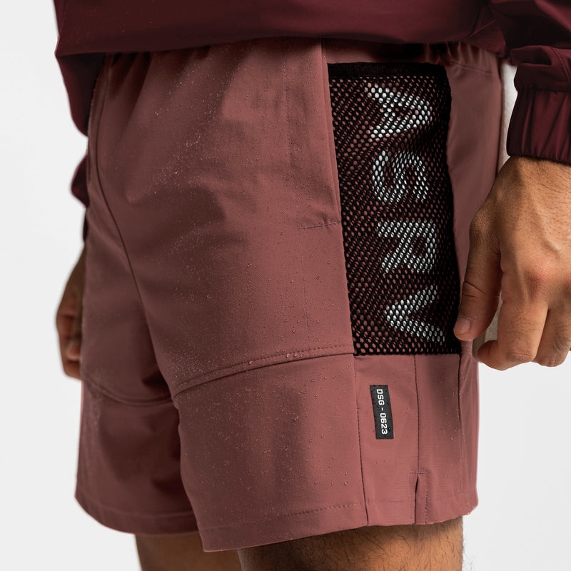 Asrv 0623. TETRA-LITE™ Adventure Men's Shorts Rose | 23917QLEC